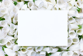 Floral paattern backgrroound texturee with empty space for your design or text, a wedding or any holiday festive mockup from white flower buds, composition for greeeting card, flat lay, top view