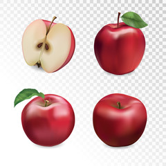 Red apple set. Vector illustration.