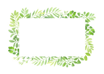Fototapeta na wymiar Green leaves frame template. Floral border. Vector illustration.