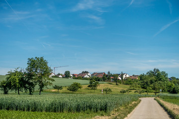 BaumGrundstück mit Obstbäumen im Sommer