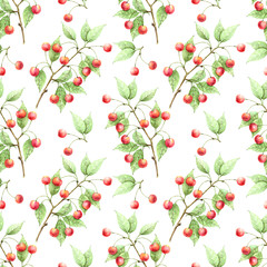 cherry branch pattern with red berries on a white background drawing watercolor