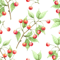 cherry branch pattern with red berries on a white background drawing watercolor