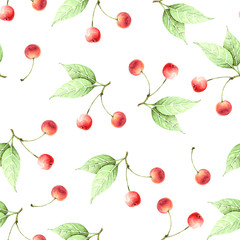 cherry branch pattern with red berries on a white background drawing watercolor