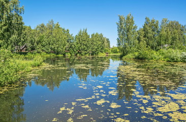 Fototapeta na wymiar Summer landscape with lake shore and reflection in water