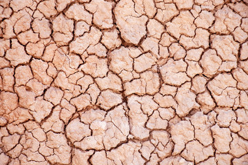 cracked earth texture