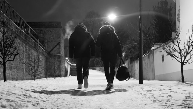 White walkers // Arcueil