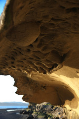 nature, landscape, architecture, automotive, floral, 