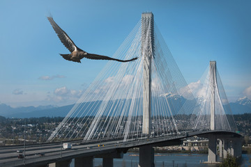 nature, landscape, architecture, automotive, floral, 