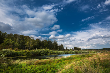 Summer landscape with a river. Western Siberia