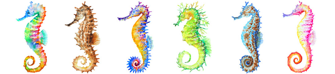 Group of colorful seahorses, panorama, watercolor. - obrazy, fototapety, plakaty
