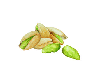 Pistachio nuts, hand drawn watercolor illustration.