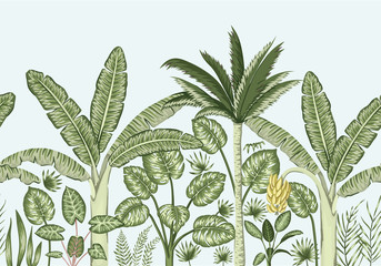 Vector seamless border background with tropical plants. Vintage horizontal seamless  backdrop. Exotic jungle wallpaper..