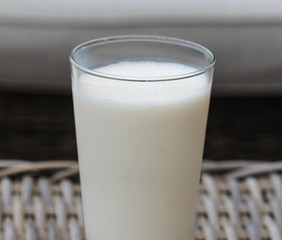 Self made vanilla milkshake in glass on reed background