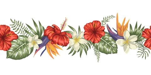 Vector seamless pattern brush of green tropical leaves with plumeria, strelitzia and hibiscus flowers on white background. Summer or spring tropical border. Exotic jungle ornament.. © Lexi Claus