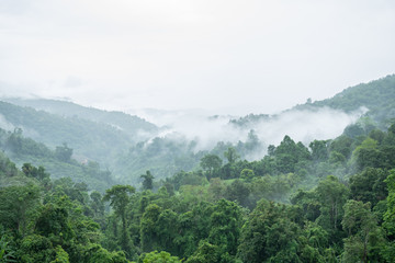 Obraz premium Krajobraz mglisty na górze.