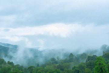 Landscape of foggy on the mountain.