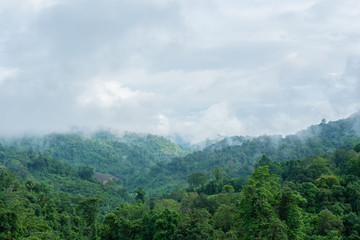 Fototapeta premium Krajobraz mgłowy na górze.
