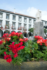Beautiful red flowers of pelargonium and begonia against the background of the sights of the city of Ponta Delgada. Flowerbed. Portugal, Azores.