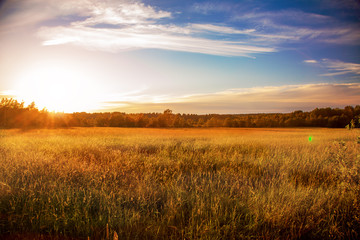 beautiful sunset and green field