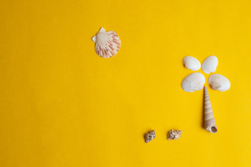 Composition of exotic sea shells on a yellow background. Summer concept. Top View