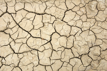 Background of dry brown cracked earth