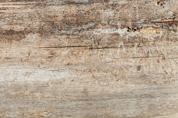 Old Weathered Brownish Wood Texture