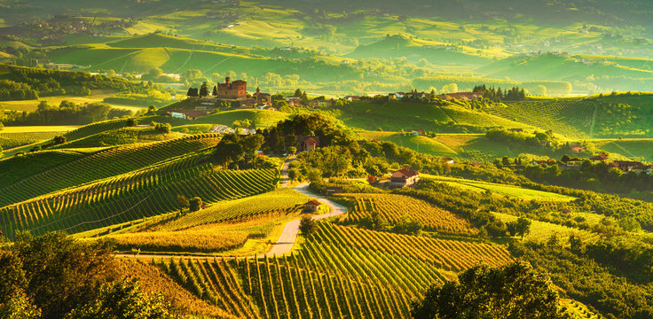 Langhe vineyards sunset panorama, Grinzane Covour, Piedmont, Italy Europe.