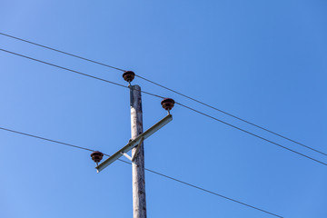 Telegraph pole carrying wires