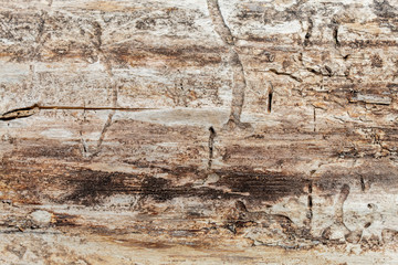 Old Weathered Brownish Wood Texture