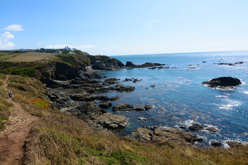 Lungo la costa di Kynance Cove - Lizard Point