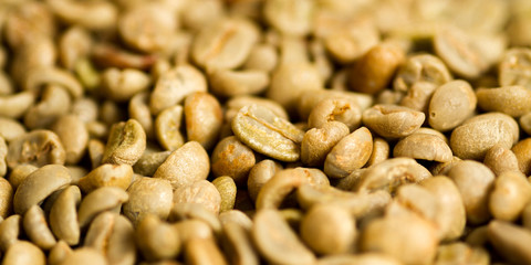 macro of green coffee beans