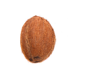Delicious, ripe coconut isolated on white background.