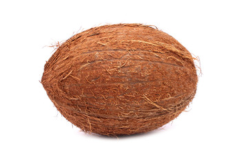 Delicious, ripe coconut isolated on white background.