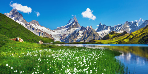 Malerische Aussicht auf Berner Bergkette über dem Bachalpsee. Beliebte Touristenattraktion. Standort Ort Schweizer Alpen, Grindelwald-Tal, Europa.