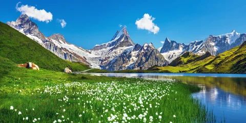 Papier Peint photo Lavable Alpes Vue panoramique sur la chaîne bernoise au-dessus du lac Bachalpsee. Attraction touristique populaire. Lieu de localisation Alpes suisses, vallée de Grindelwald, Europe.