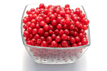 Redcurrants in glass bowl isolated on white background