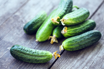 fresh young cucumbers