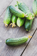 fresh young cucumbers