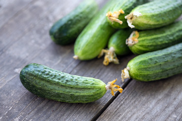 fresh young cucumbers