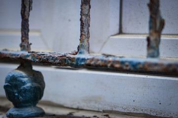 pigeons close view - on the spanish streets