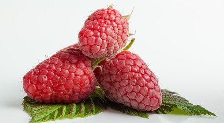 Group of three raspberries with leaves isolated on a white background