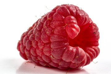 One ripe beautiful raspberry berry on a white background