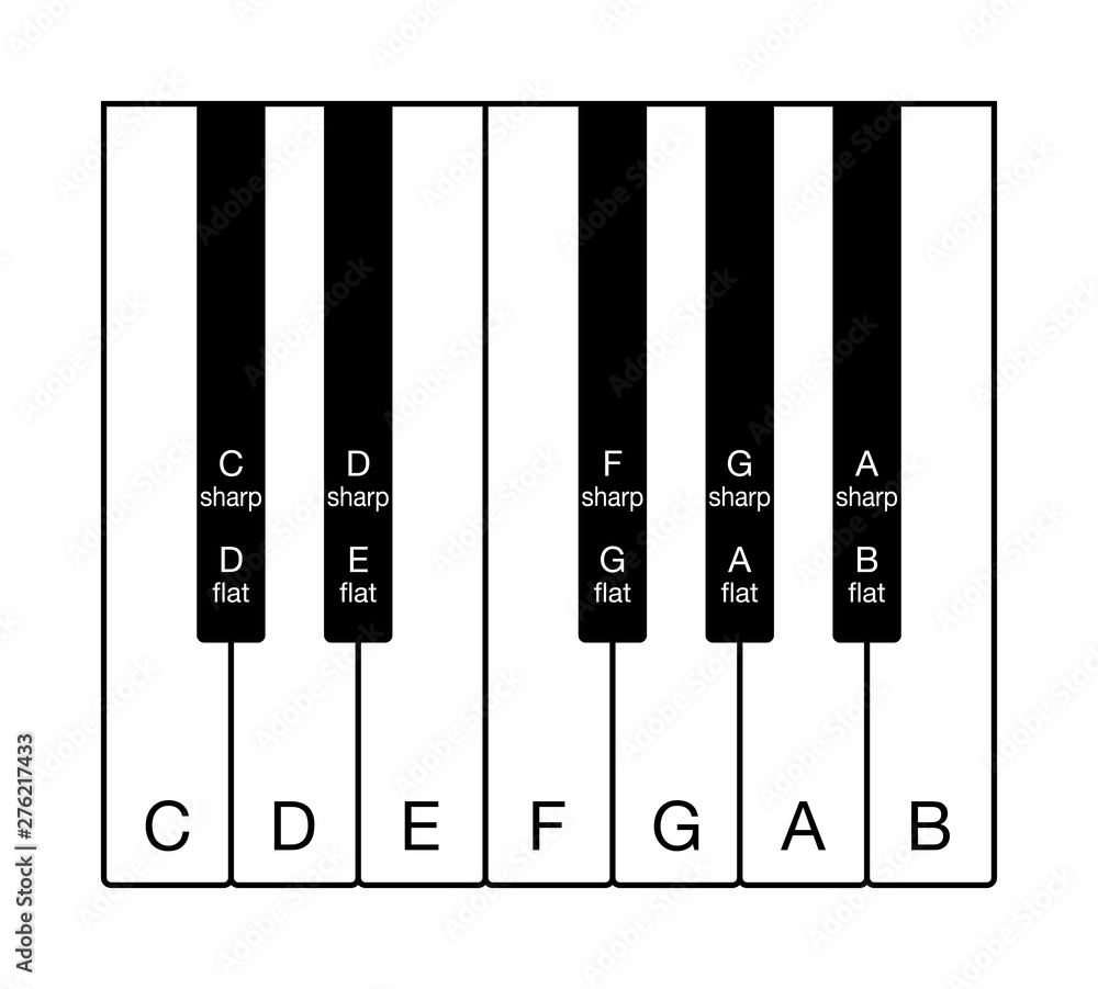 Poster twelve-tone chromatic scale on a keyboard. one octave of notes of the western musical scale. twelve 