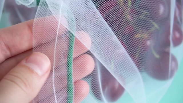 female hand touches cherry in a reusable fabric transparent bag on a blue background in the fight against plastic. close-up texture