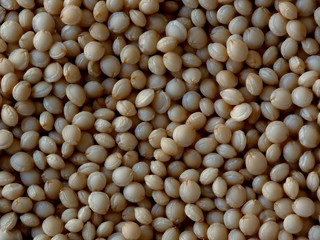 Macro Close-up of Amaranth Seeds, Amaranthus, Food Background