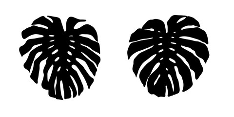 Set of vector silhouettes of monstera leaves
