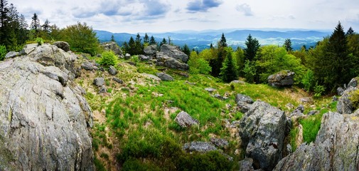 Fototapeta na wymiar Wanderung Mühlriegel und Ödriegel im bayerischen Wald