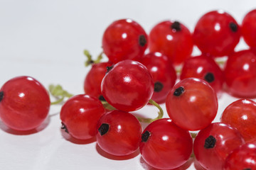 Juicy currant. Fresh red currant isolated on white background, close up