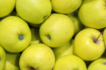 Lots of yellow apples. Natural condition. Top view as background