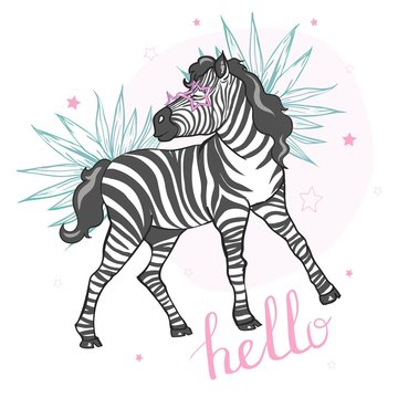 cute zebra vector illustration